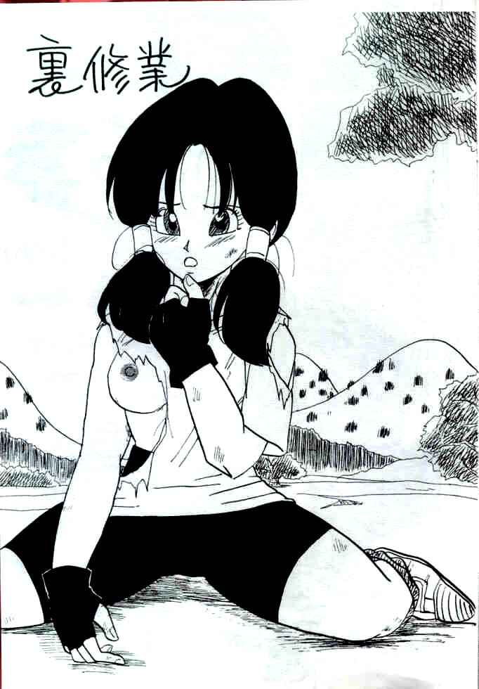 (C44) [Chirigami Goya, Fusuma go Ten (Shoji Hariko)]XX(Dragon Ball Z) [English] Page 4
