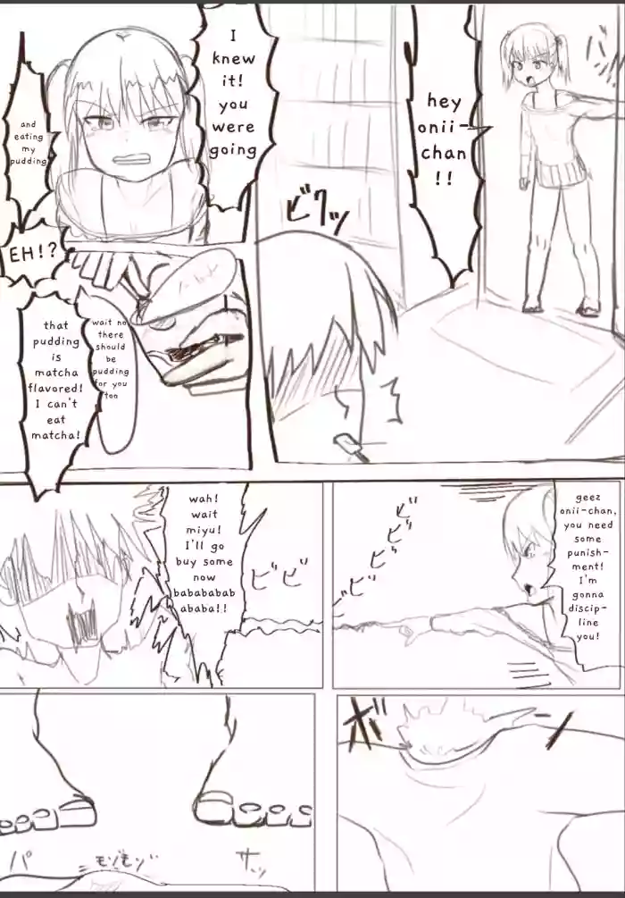 [anothertomoshib]Sister Revenge