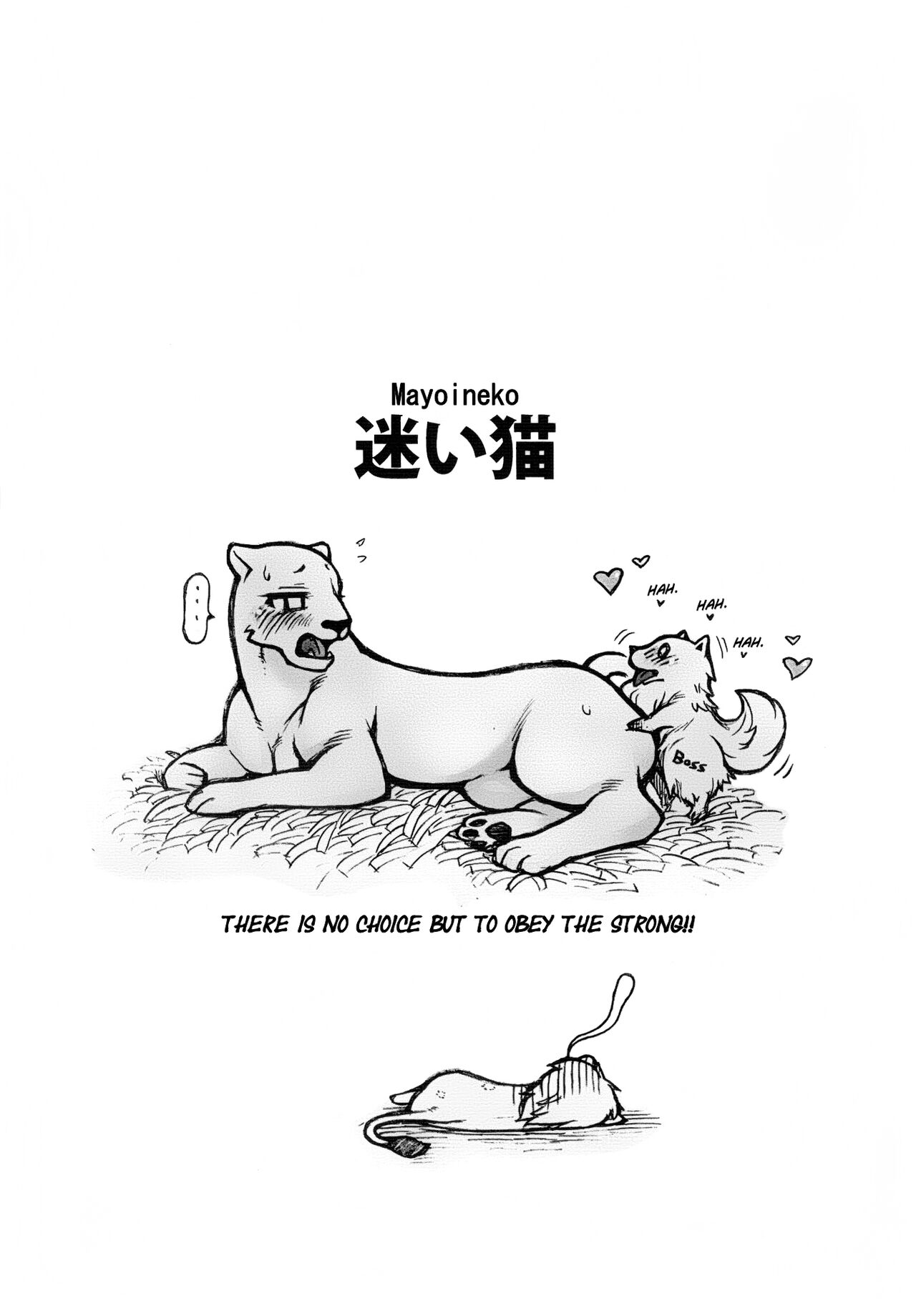 (Kansai! Kemoket) [Mayoineko (Various)]Jaku Niku Goukan (TOKYO JUNGLE) [English] =Mr.MPD= Page 39