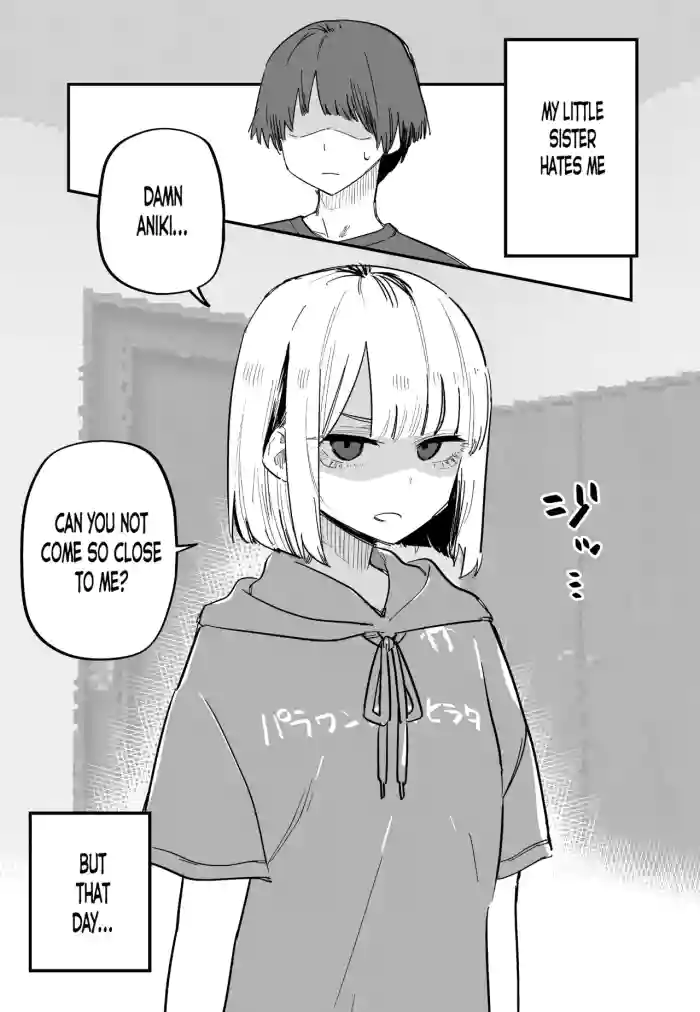 [Kuga Tsuniya]Ore no Koto ga Daikirai na Imouto ga Kowai | My Sister Who Cannot Stand Me Is Scary[English]