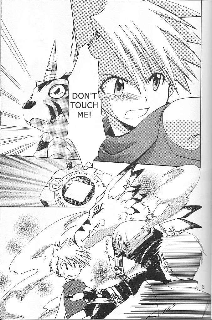 [WALPURGIS (Hazuki Aoi)]Star(Digimon Adventure) [English] Page 12