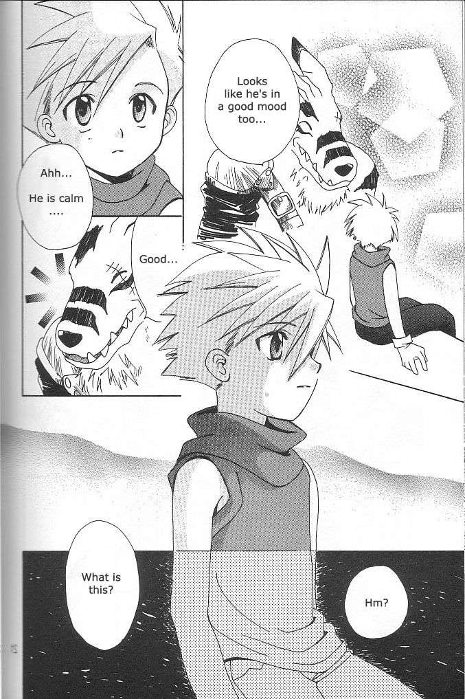 [WALPURGIS (Hazuki Aoi)]Star(Digimon Adventure) [English] Page 18