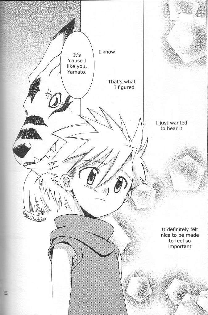 [WALPURGIS (Hazuki Aoi)]Star(Digimon Adventure) [English] Page 20