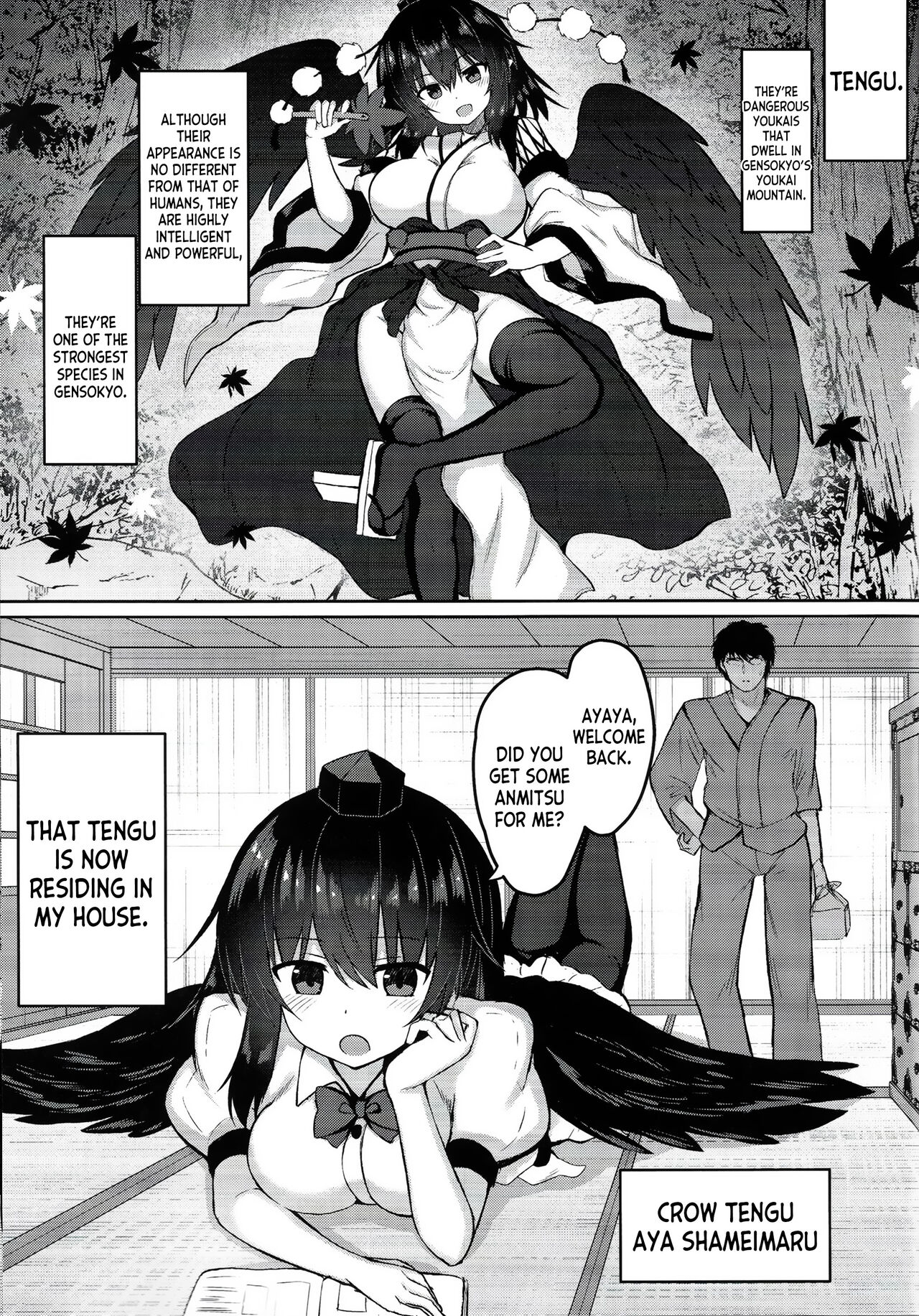 (C101) [tomikadou (tksand)]Tengu ga Ie ni Isuwatteru Ken(Touhou Project) [English] [desudesu] Page 2