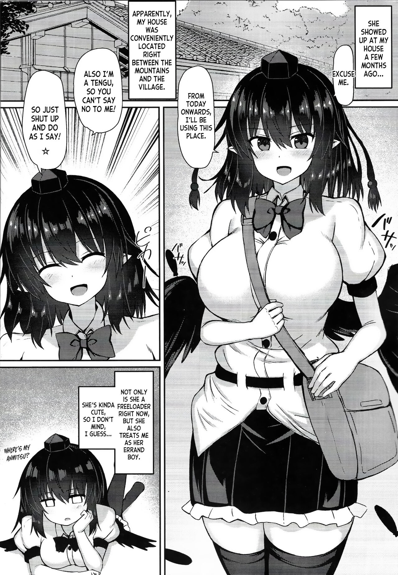 (C101) [tomikadou (tksand)]Tengu ga Ie ni Isuwatteru Ken(Touhou Project) [English] [desudesu] Page 3