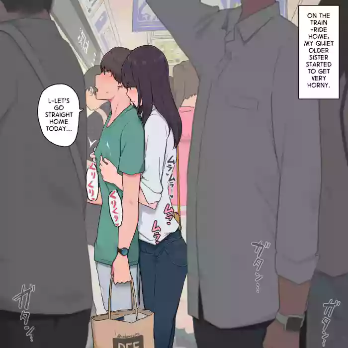 [Wakamatsu]Otouto o Isei to Shite Isshiki Shite Shimau Mukuchi na Onee-chan | A Quiet Older Sister Who Has Come to See Her Brother as a Man[English]