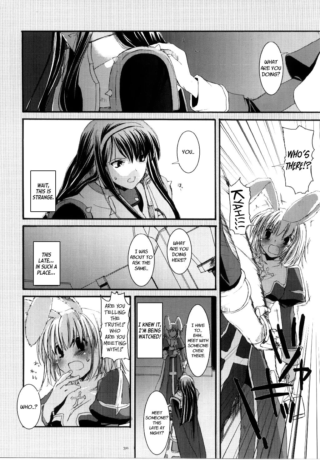 (C68) [Digital Lover (Nakajima Yuka)]D.L. action 30(Ragnarok Online) [English] [Kinsei Translations] Page 29