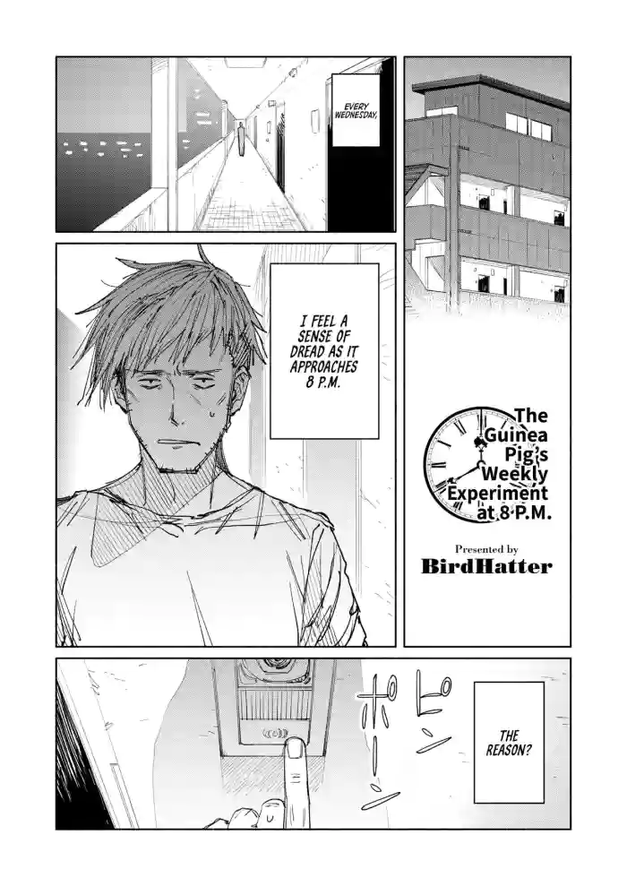 [BirdHatter]The Guinea Pig's Weekly Experiment at 8 P.M.(COMIC HOTMILK 2023-07) [English] [WataTL] [Digital]