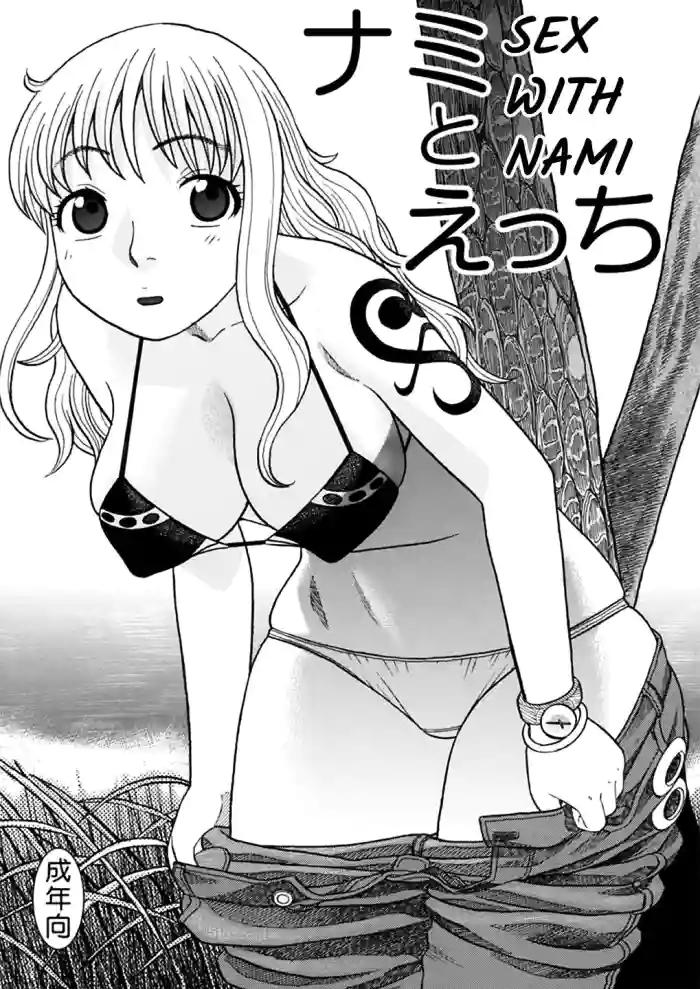 [Niiruma no Koya (Niiruma Kenji)]Nami to Ecchi | Sex with Nami(Nami to Sex) (ONE PIECE) [English] {Hennojin} [Digital]