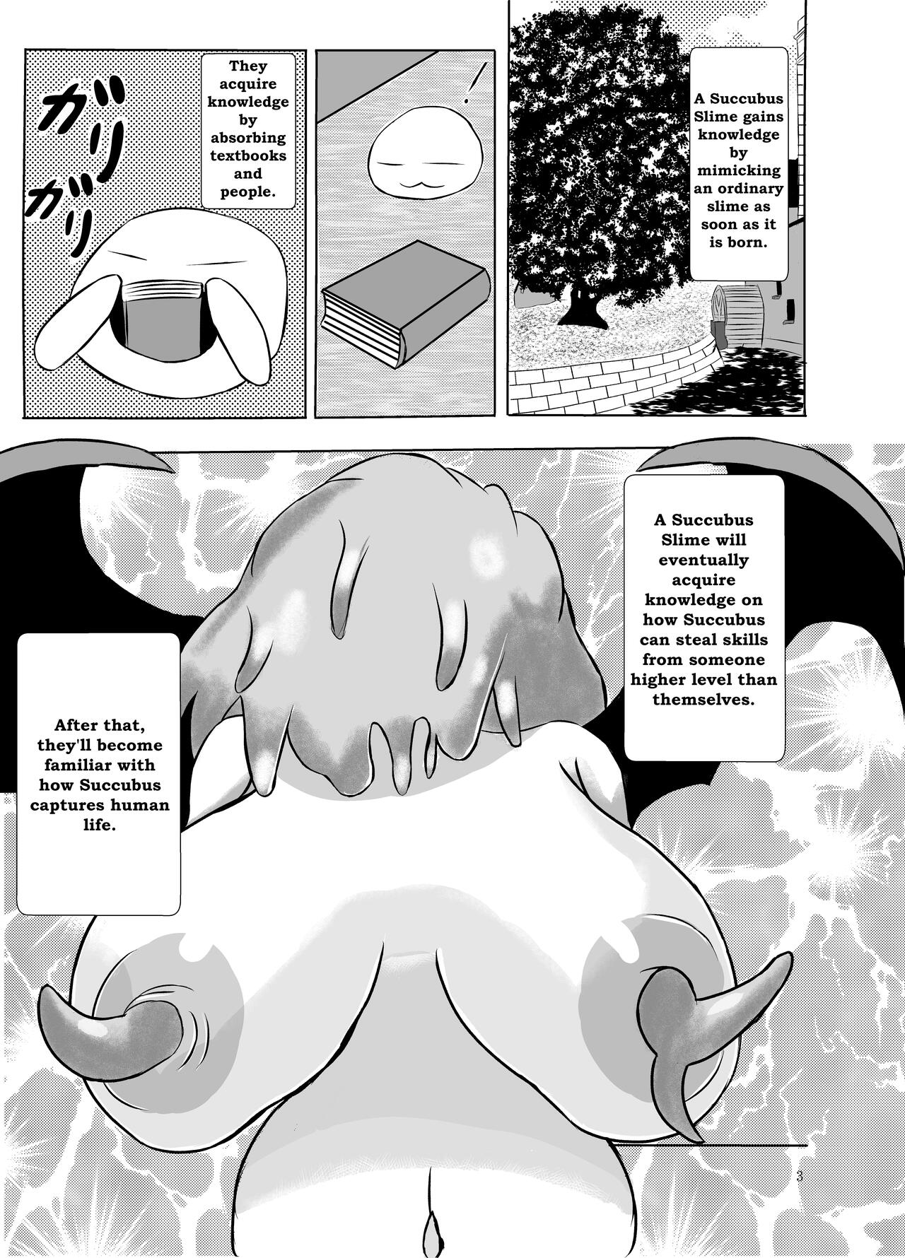 [Princess Cat (Nekohime Yuuka)]Succubus Gitai Slime ga Shota Yuusha o Gyaku Rape suru Hon | A Story About the Hero Who a Succubus Slime Mimic Raped.[English] [Digital] Page 3