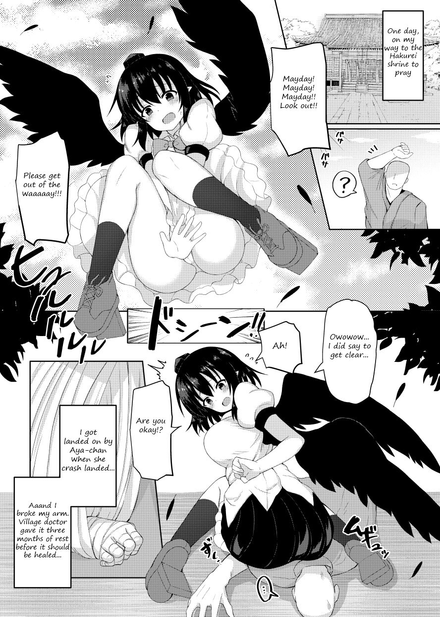 [Tomikadou (tksand)]Ecchi na Tengu no Otetsudai-san | A lewd Tengu caretaker(Touhou Project) [English] [Digital] Page 3