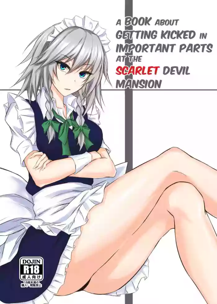 [pikuchi-ya (Piro)]Koumakan de Daiji na Tokoro o Kerareru Hon | A book about getting kicked in important parts at the Scarlet Devil Mansion(Touhou Project) [English] [Eon Hfansub] [Digital]