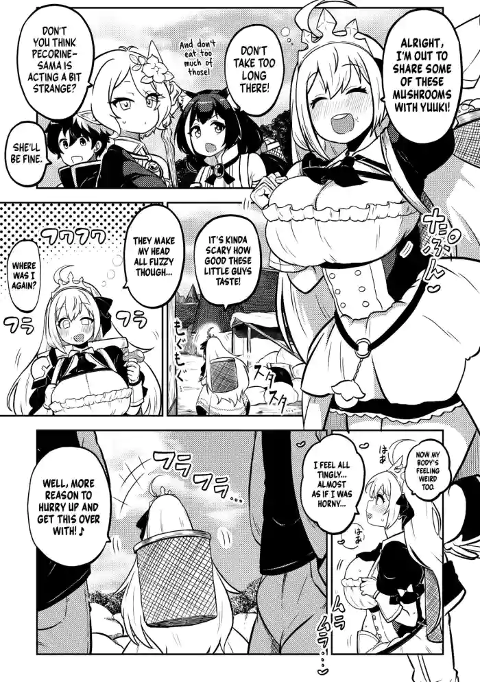 [Shoujo Rakugakichuu (Himajin no Izu)]PriConne Matometeokou kana tte(Princess Connect! Re:Dive) [English] [Shiromaru] [Digital]
