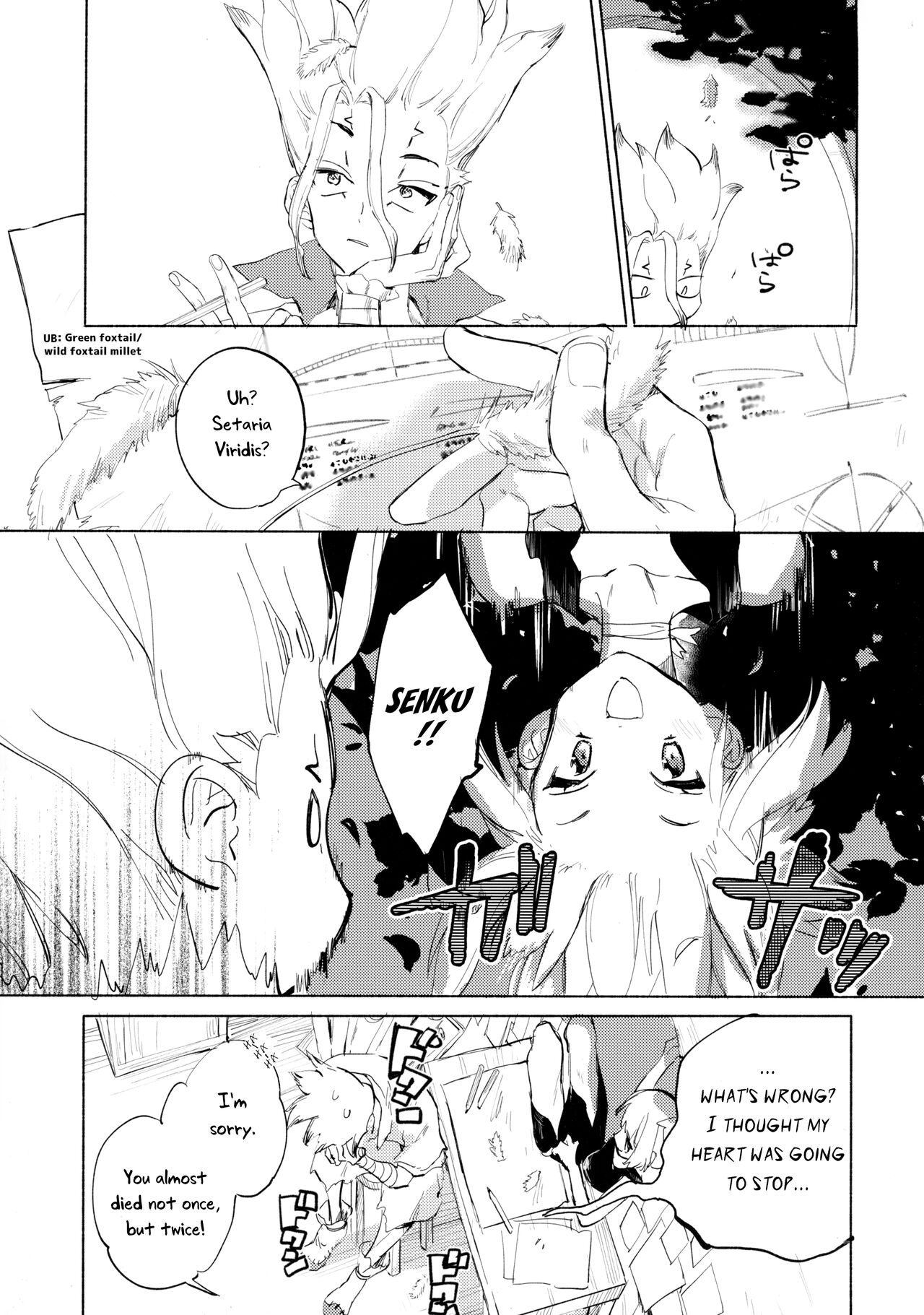 (The ROCK 2) [tcnc (Serizawa Nae)]Sekki Sekai de Mabushii Natsu(Dr. STONE) [English] [Uncle Bane] Page 18