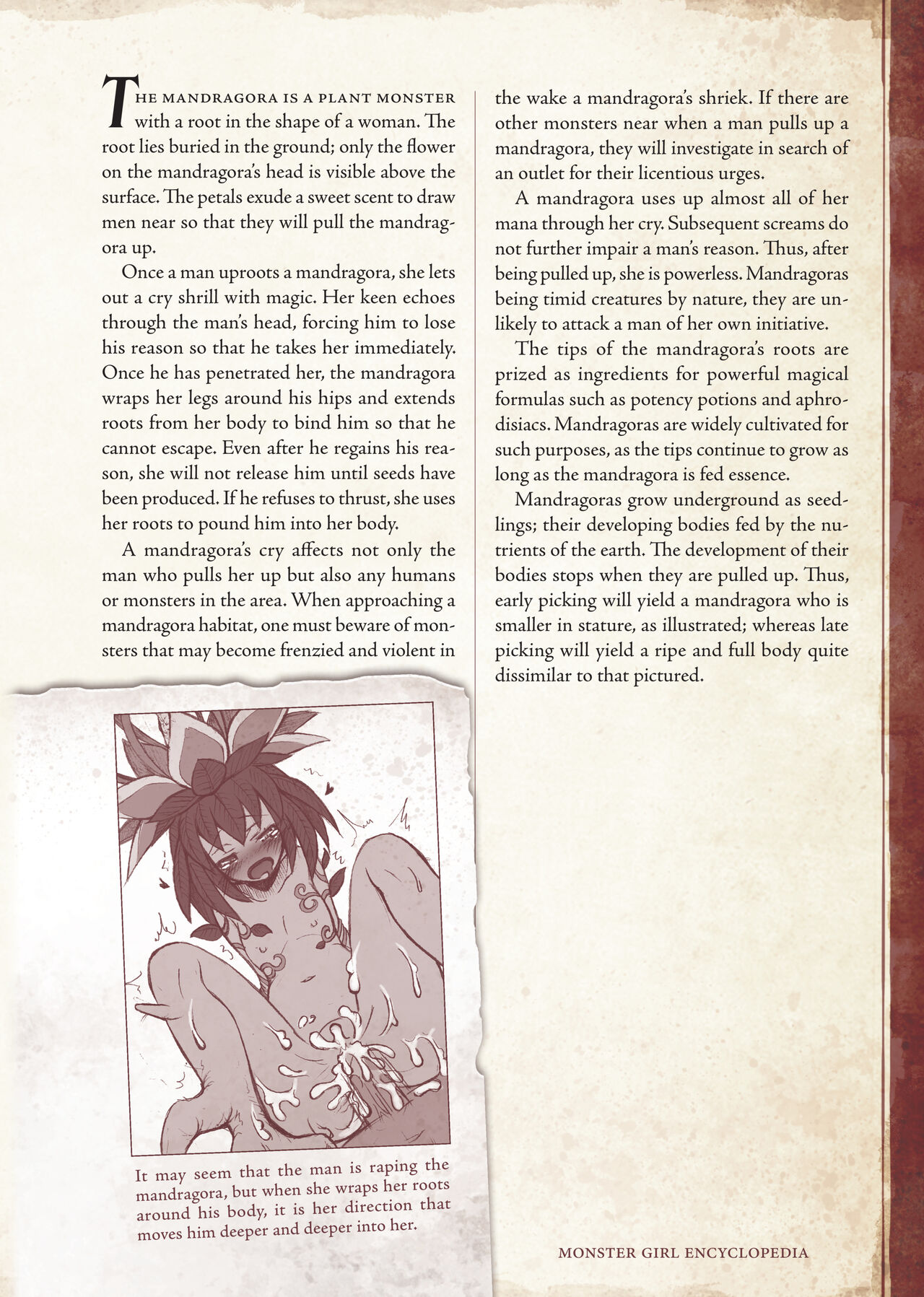 [Kurobinega (Kenkou Cross)]Mamono Musume Zukan I -Monster Girl Encyclopedia- Vol. 1[English] Page 39