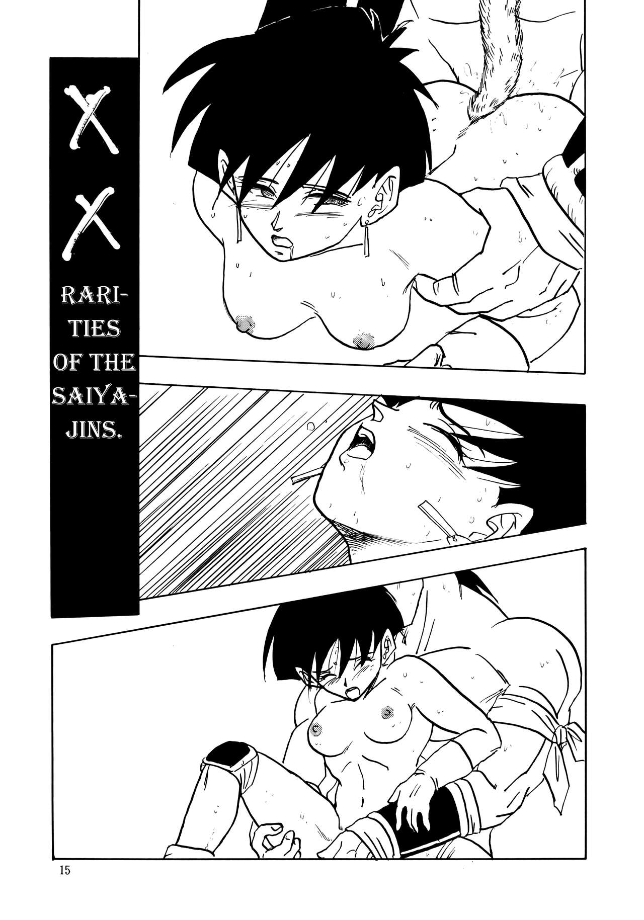 (C44) [Chirigami Goya, Fusuma go Ten (Shoji Hariko)]XX(Dragon Ball Z) [English] [Excavateur] Page 15
