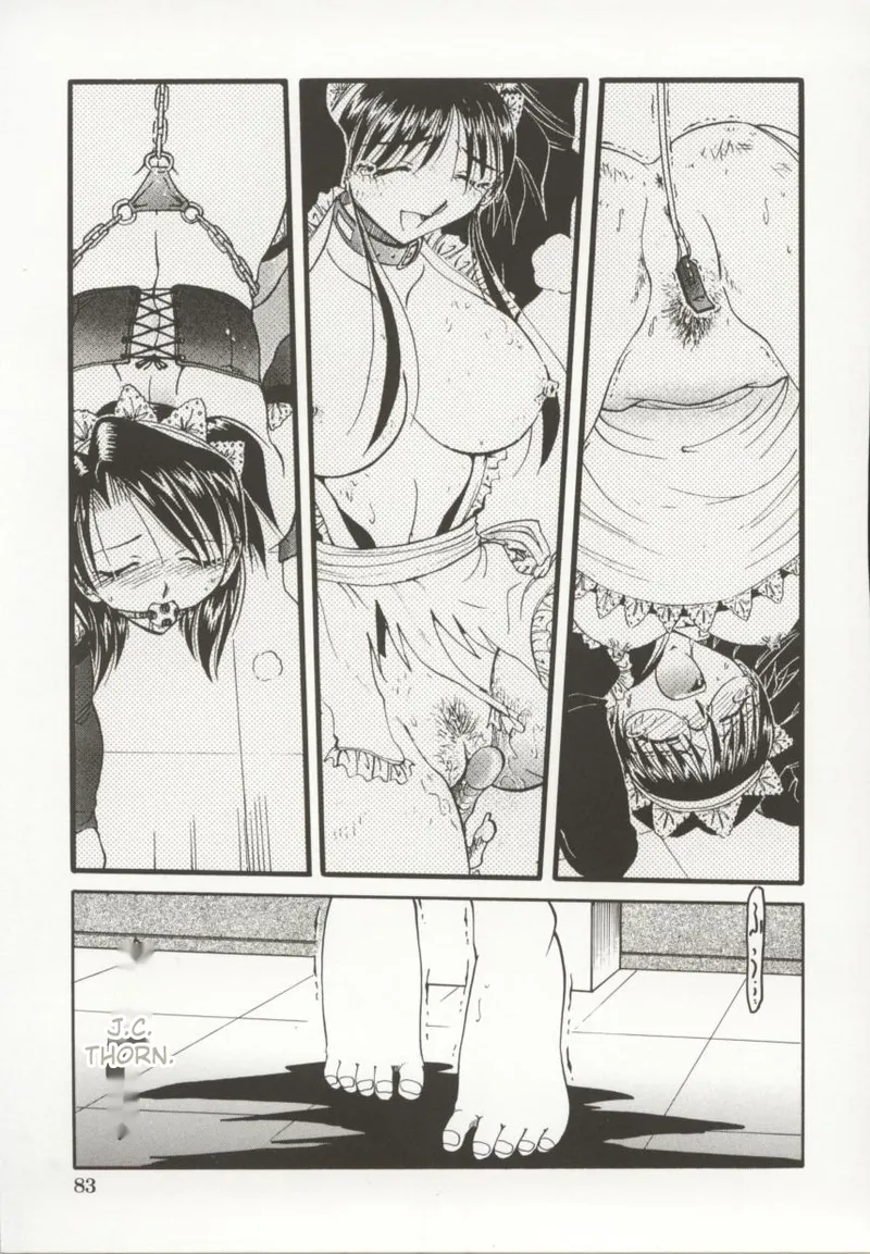 [Shizuka]Go Housi Reijyou(MTL) Page 84
