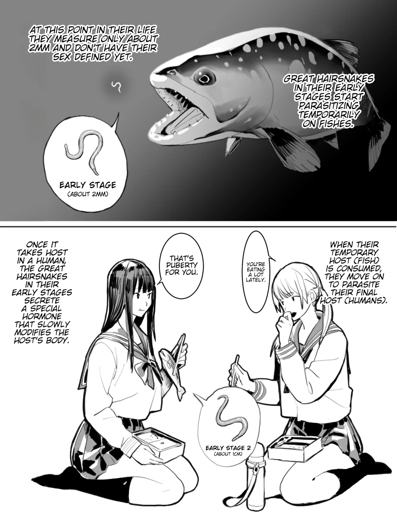[Velzhe]Oohariganemushi No Seitai | The Great Hairsnake[English] [Kinsei Translations] Page 2