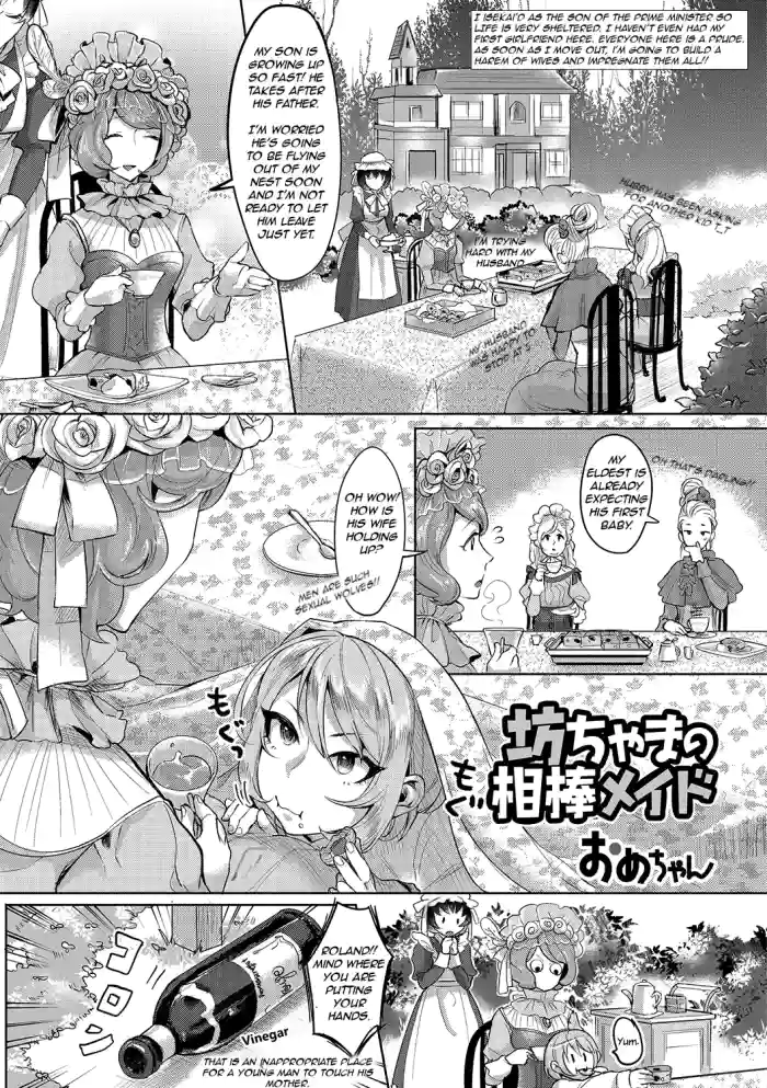 The Young Master’s Partner Maid[rewrite]