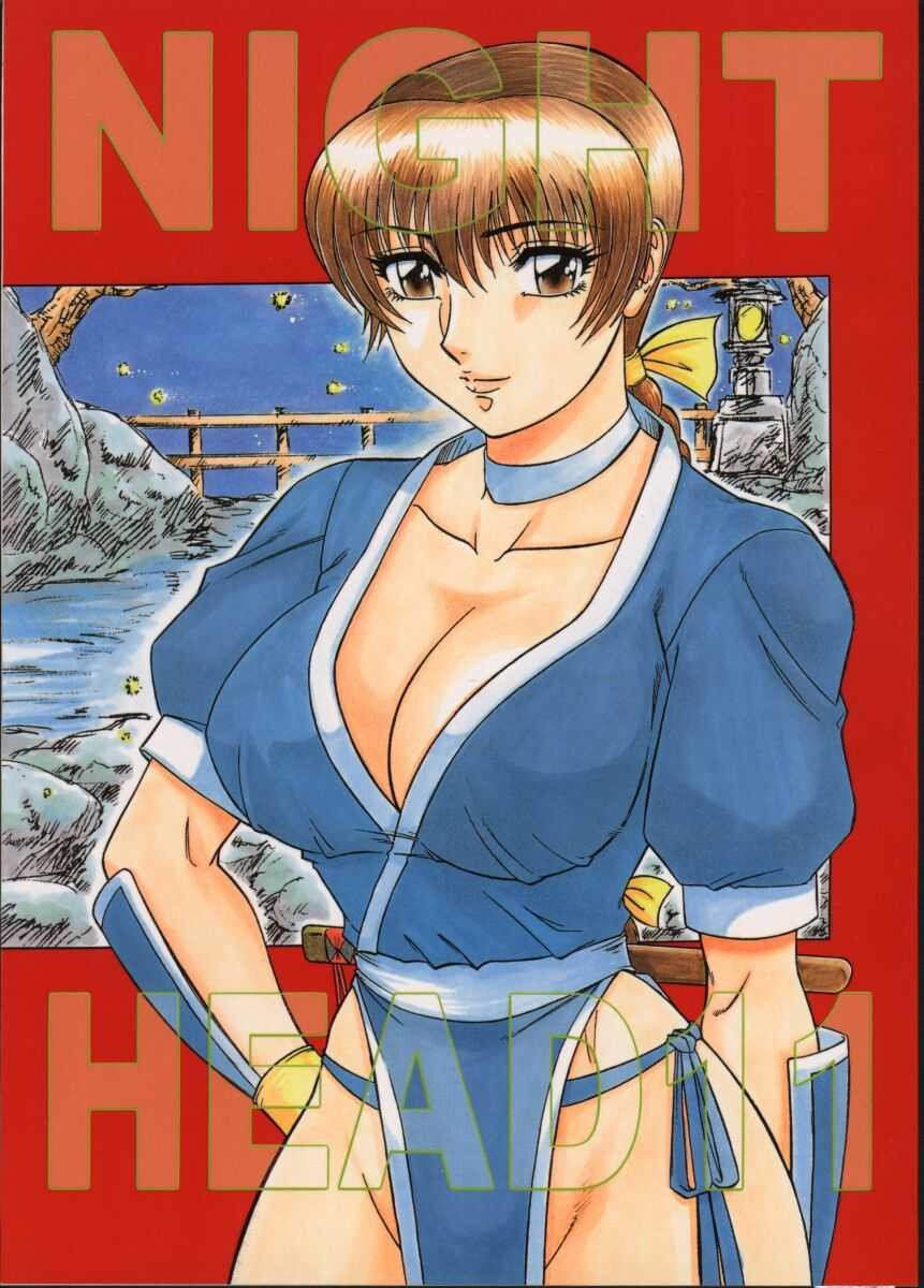 (CR27) [Circle Taihei-Tengoku (Aratamaru)]NIGHT HEAD 11(Dead or Alive) [English] [CopyOf] Page 1
