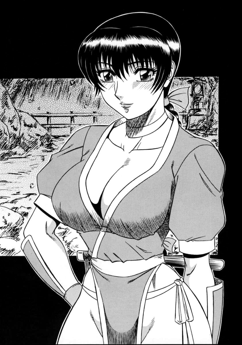 (CR27) [Circle Taihei-Tengoku (Aratamaru)]NIGHT HEAD 11(Dead or Alive) [English] [CopyOf] Page 2