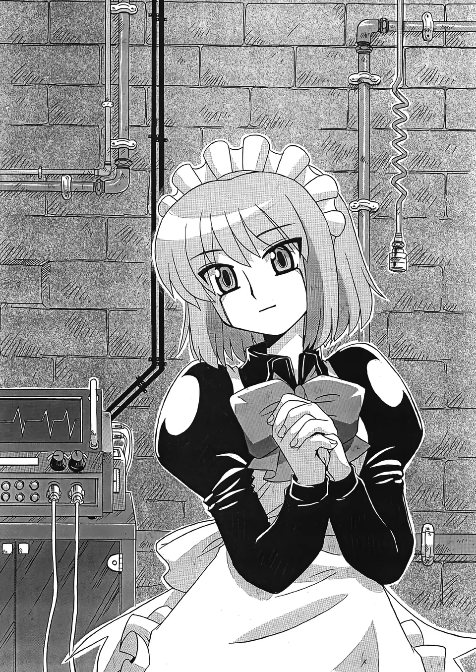 [Uni Laboratory]Mecha Hisui ga Ichiban Hoshii Gohoubi | What Mecha Hisui Wants the Most(Tsukihime) [English] [ianuela] Page 1