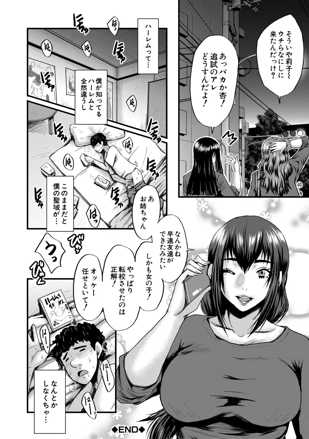 [SINK]Boku o Karu Yabai Ana Harem[Digital] Page 29