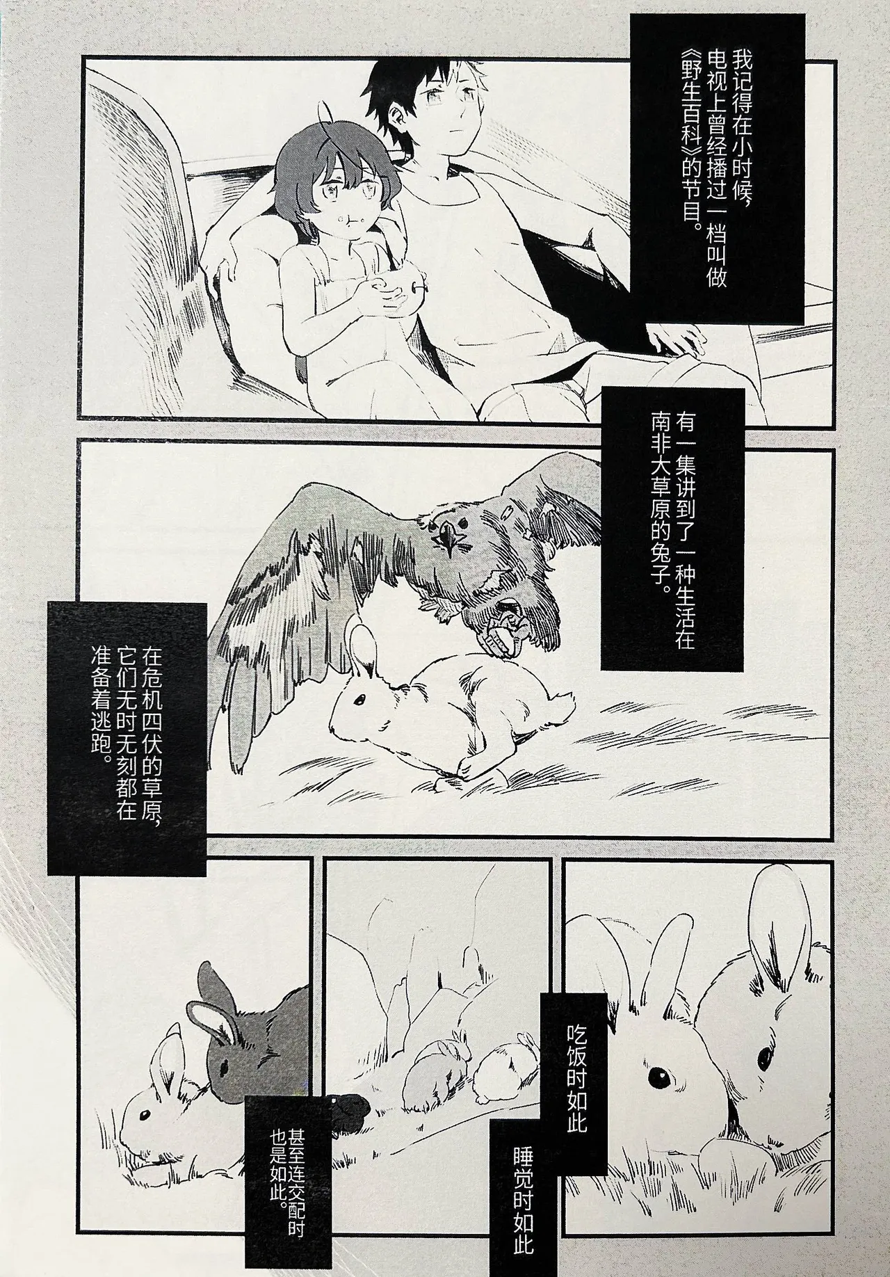 【中V/南北组】兔子（乐正绫x洛天依） Page 2
