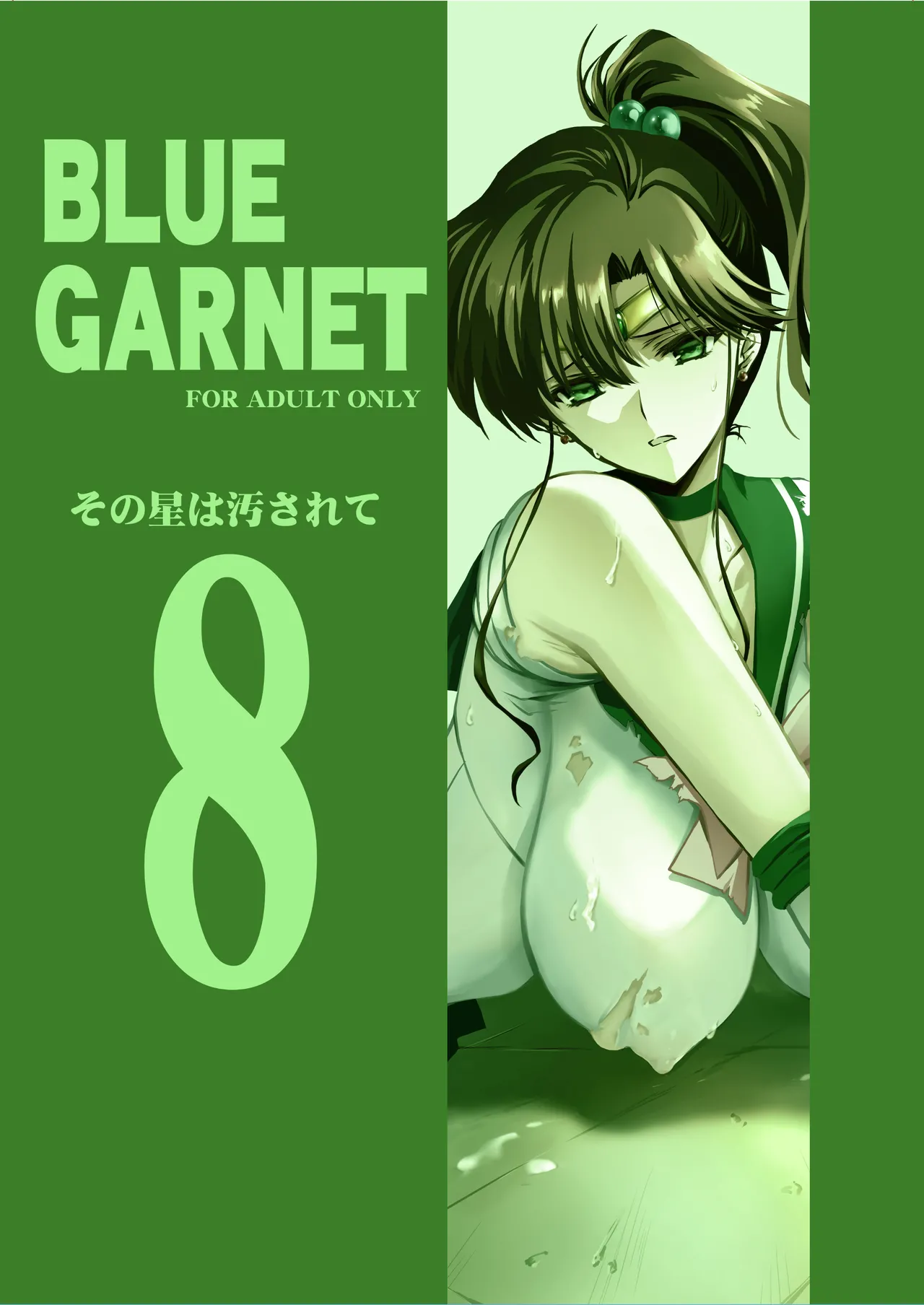 [BLUE GARNET (Serizawa Katsumi)]Sono Hoshi wa Yogosarete 8(Bishoujo Senshi Sailor Moon) [Digital] Page 35