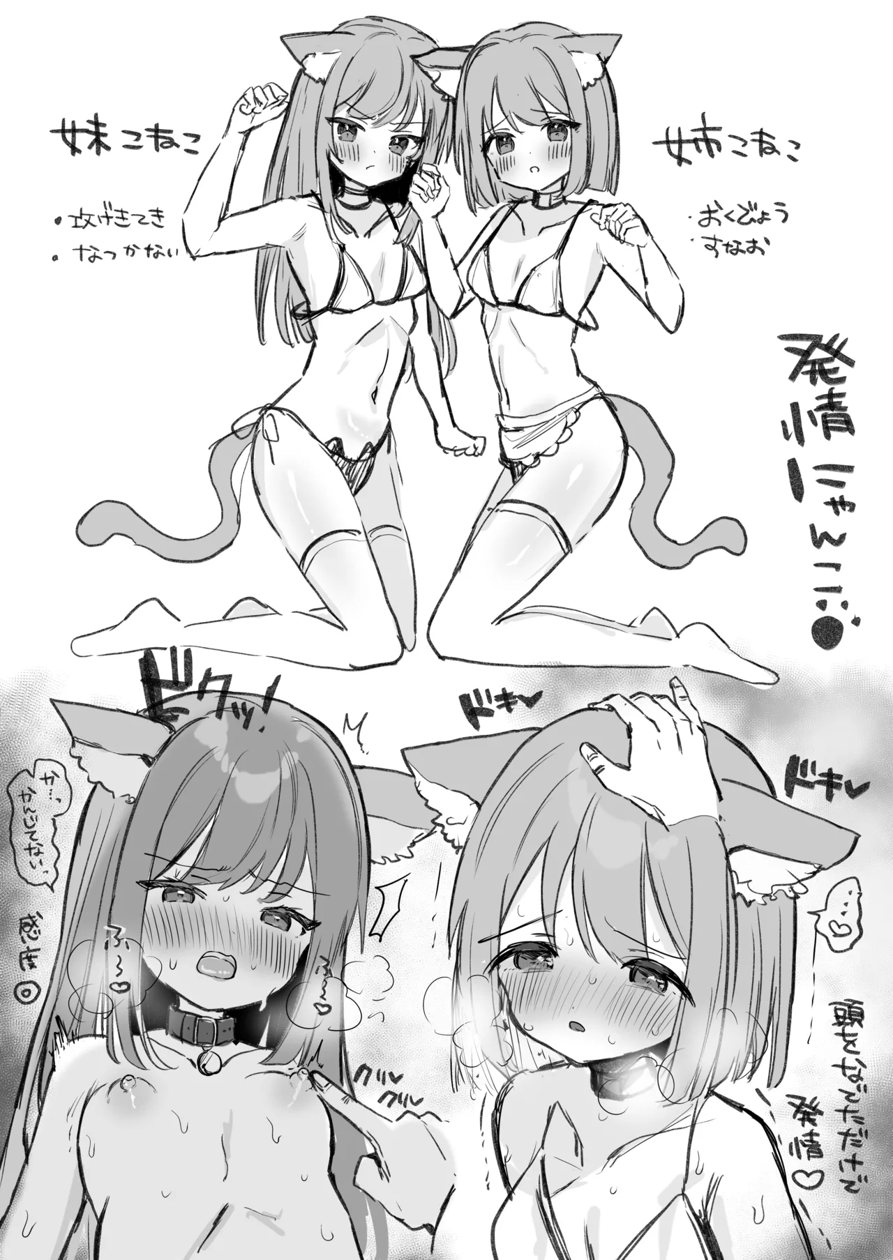 [えろはむ]はつじょうにゃんこふたご Page 3