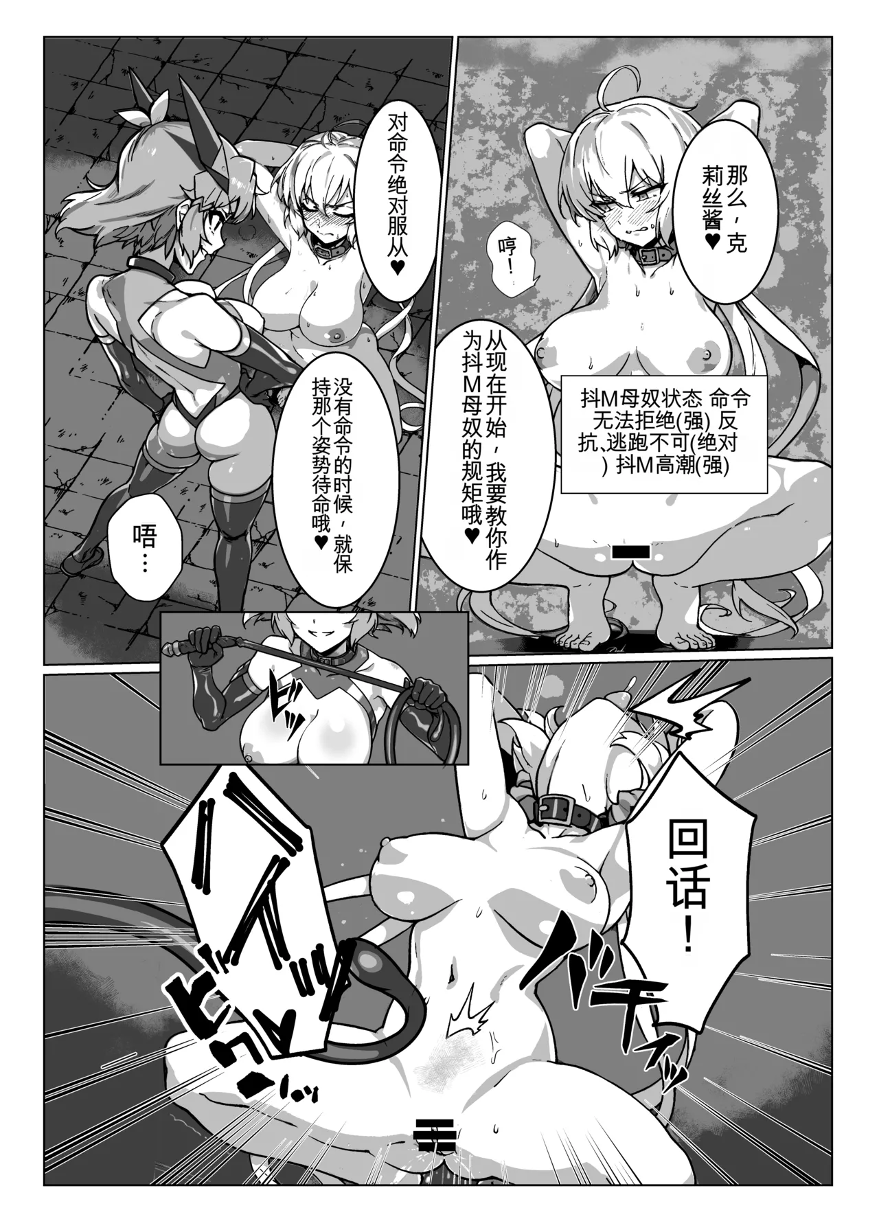 [Monochrome Inu (Onion Soup)]Senki Zecchou(Senki Zesshou Symphogear) [Digital] [Chinese][yitong个人机翻] Page 12