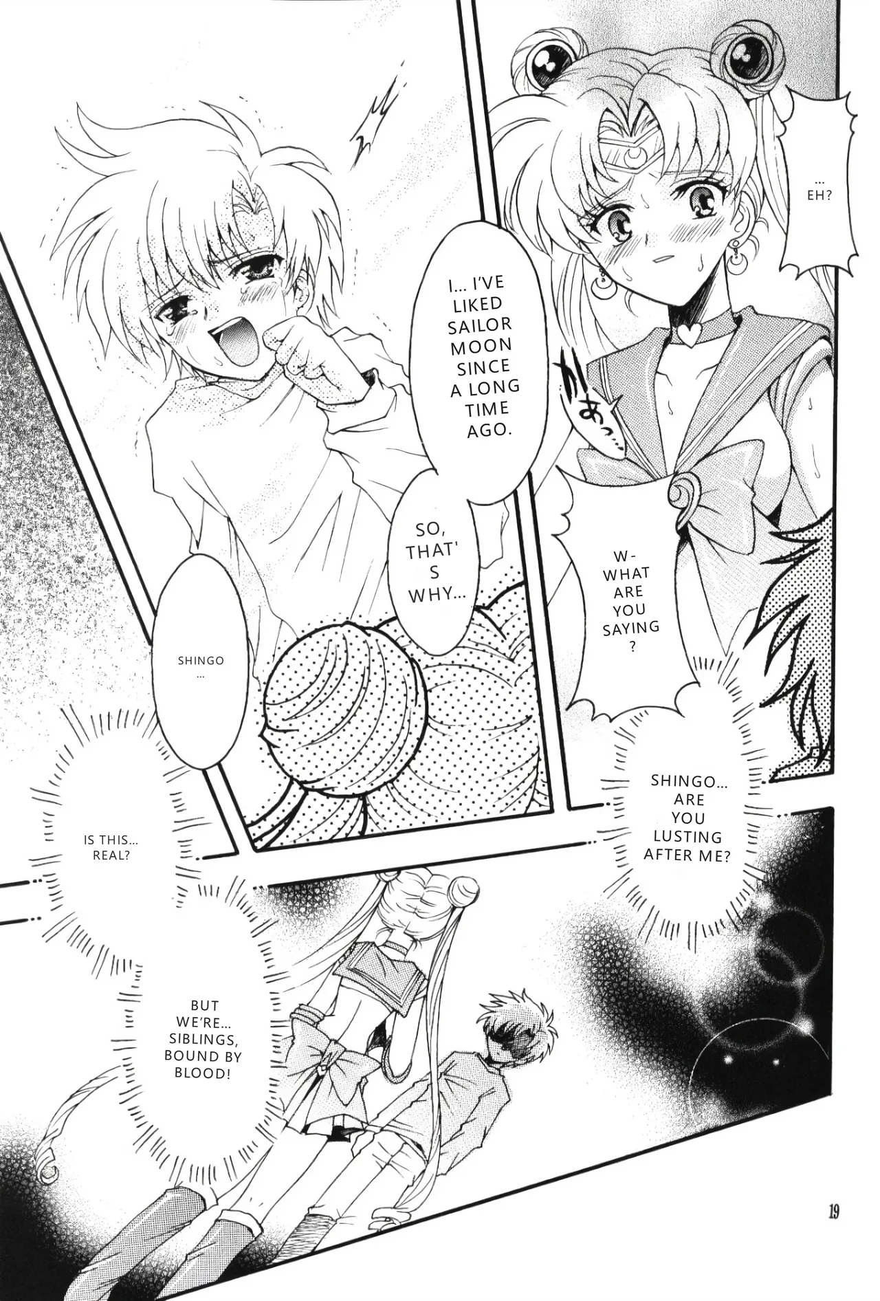 (C67) [Kotori Jimusho (Sakura Bunchou)]chanson de I'adieu | Song of Farewell(Sailor Moon) [English] [VGT13] Page 18