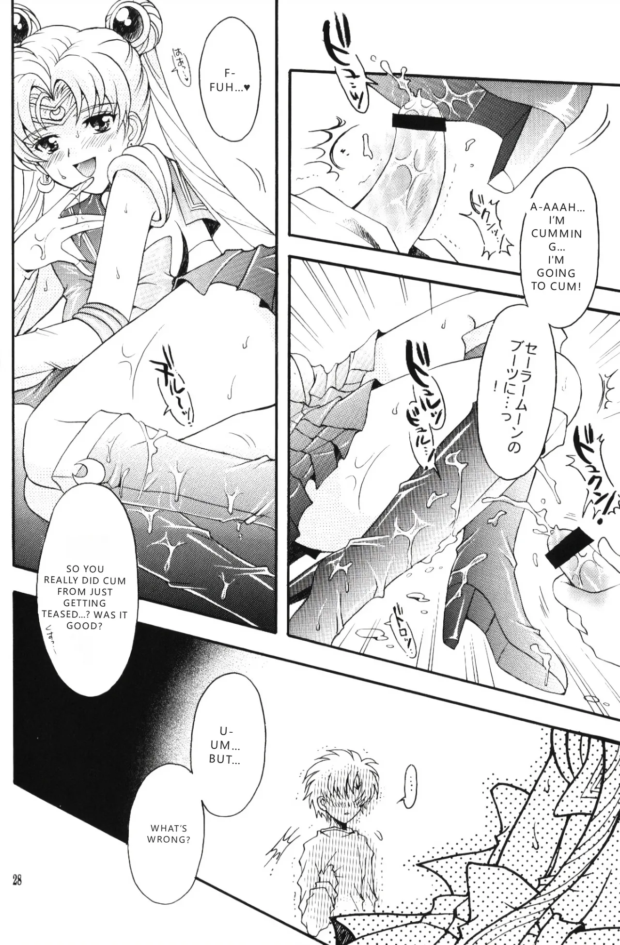 (C67) [Kotori Jimusho (Sakura Bunchou)]chanson de I'adieu | Song of Farewell(Sailor Moon) [English] [VGT13] Page 27