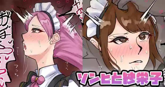 [テフル]ソンヒと紗栄子