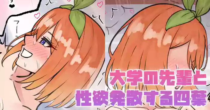 [テフル]大学の先輩と性欲発散する四葉(五等分の花嫁)