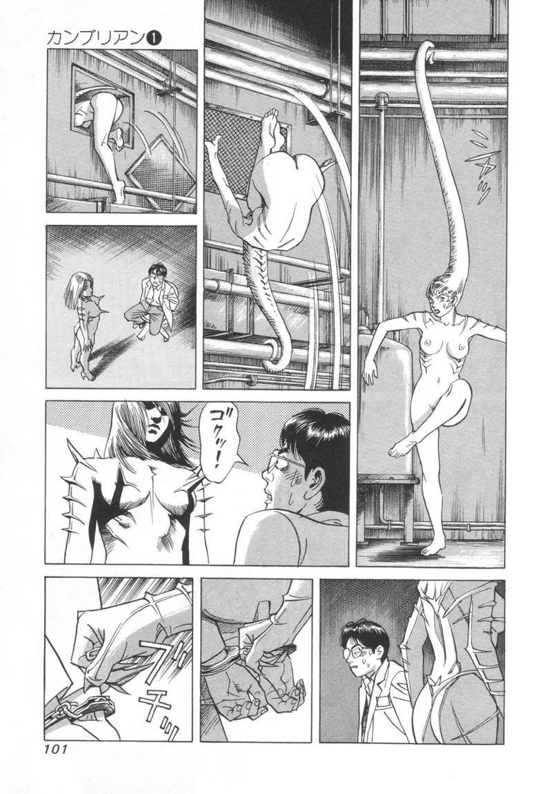 [Noboru Miyama]Kanburian Kanzenban Cambrian 01 Page 101