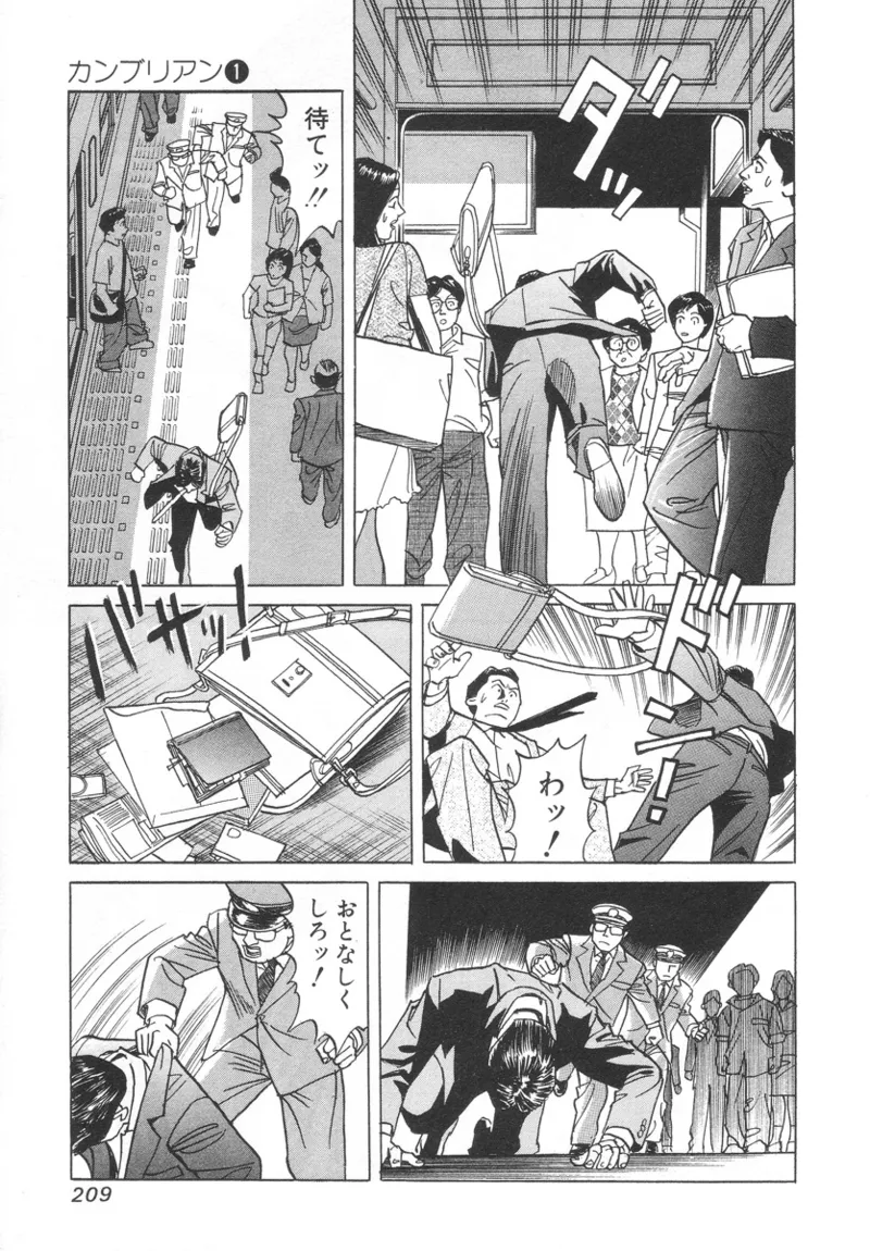 [Noboru Miyama]Kanburian Kanzenban Cambrian 01 Page 207