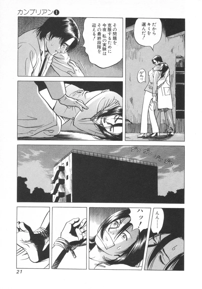 [Noboru Miyama]Kanburian Kanzenban Cambrian 01 Page 22