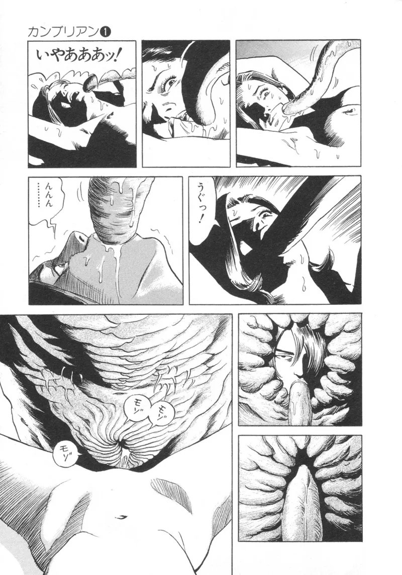 [Noboru Miyama]Kanburian Kanzenban Cambrian 01 Page 26