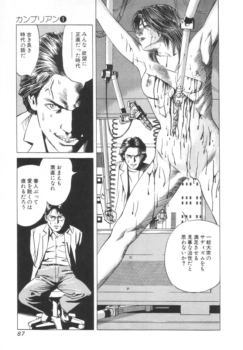 [Noboru Miyama]Kanburian Kanzenban Cambrian 01 Page 87