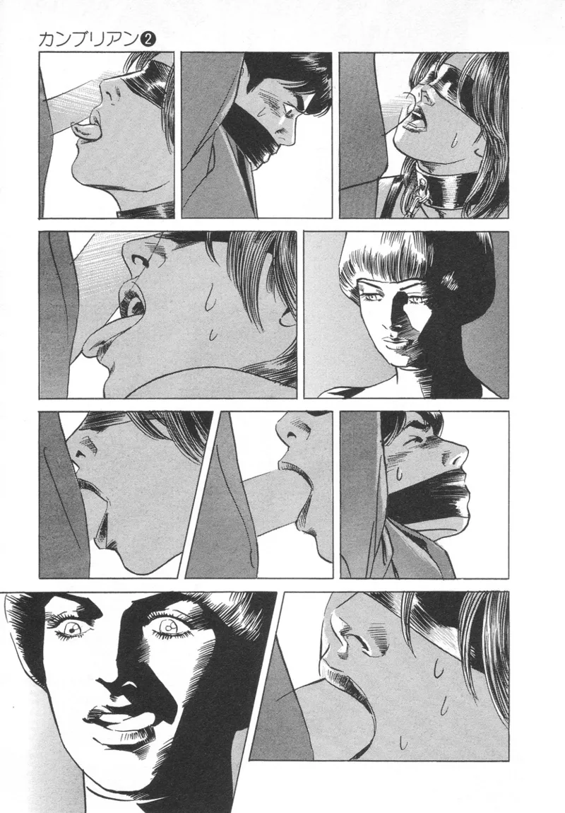 [Noboru Miyama]Kanburian Kanzenban Cambrian 02 Page 11