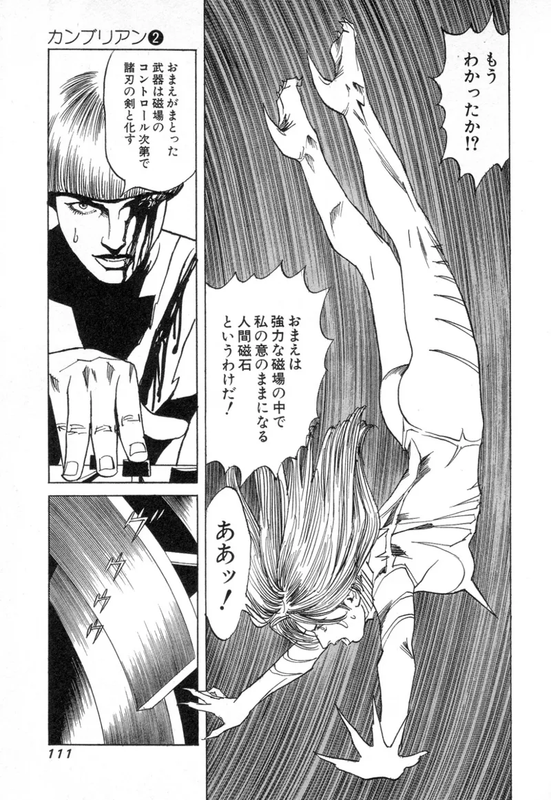 [Noboru Miyama]Kanburian Kanzenban Cambrian 02 Page 112