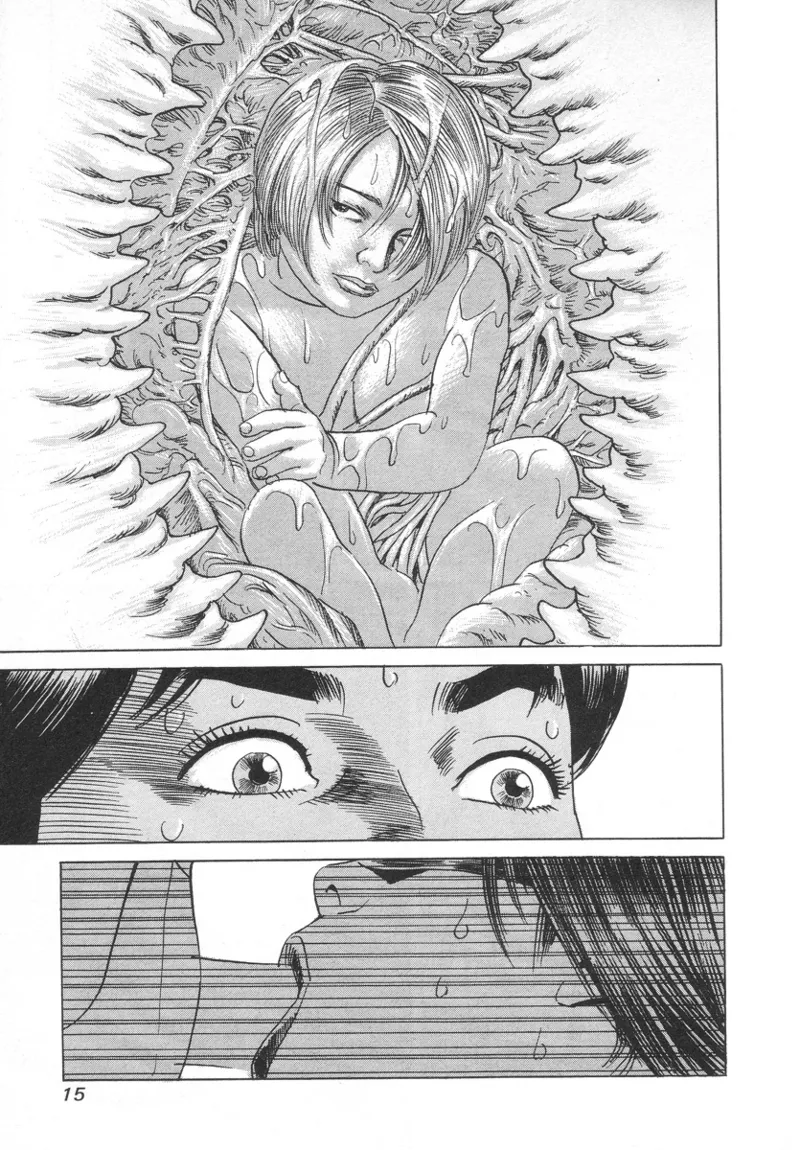 [Noboru Miyama]Kanburian Kanzenban Cambrian 02 Page 17