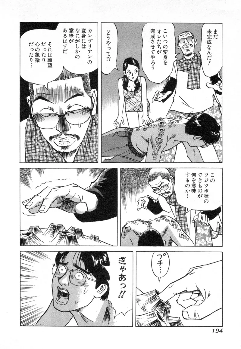 [Noboru Miyama]Kanburian Kanzenban Cambrian 02 Page 194