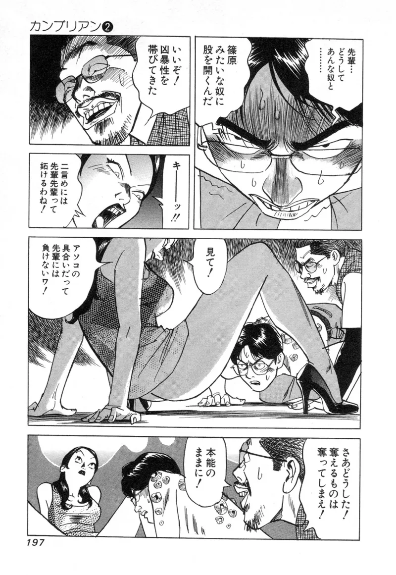 [Noboru Miyama]Kanburian Kanzenban Cambrian 02 Page 197