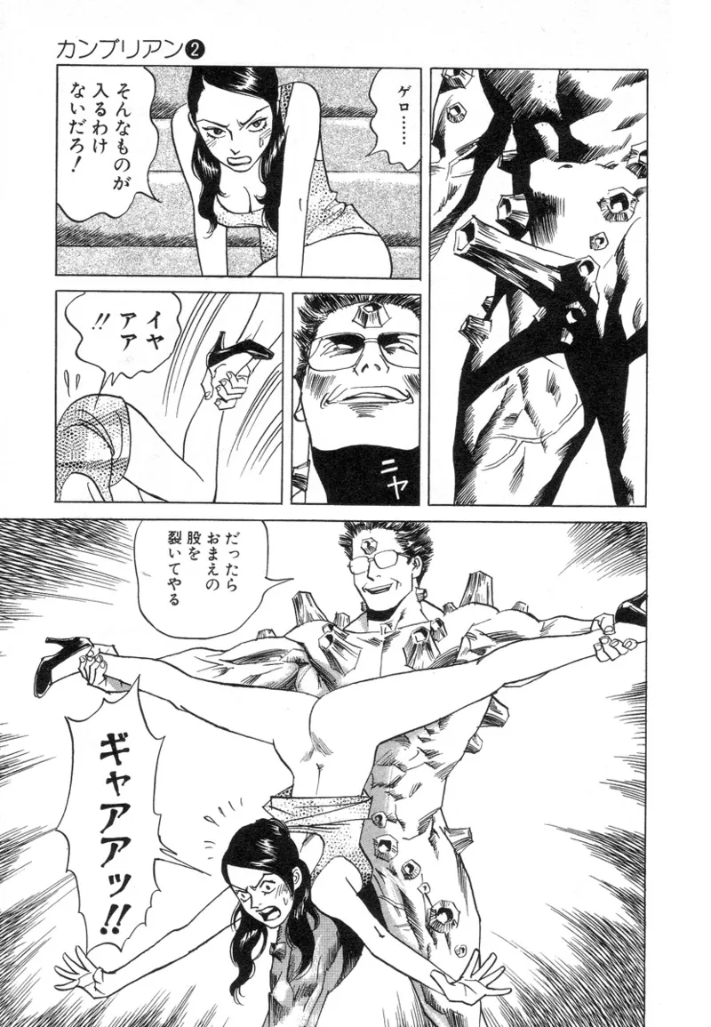 [Noboru Miyama]Kanburian Kanzenban Cambrian 02 Page 204