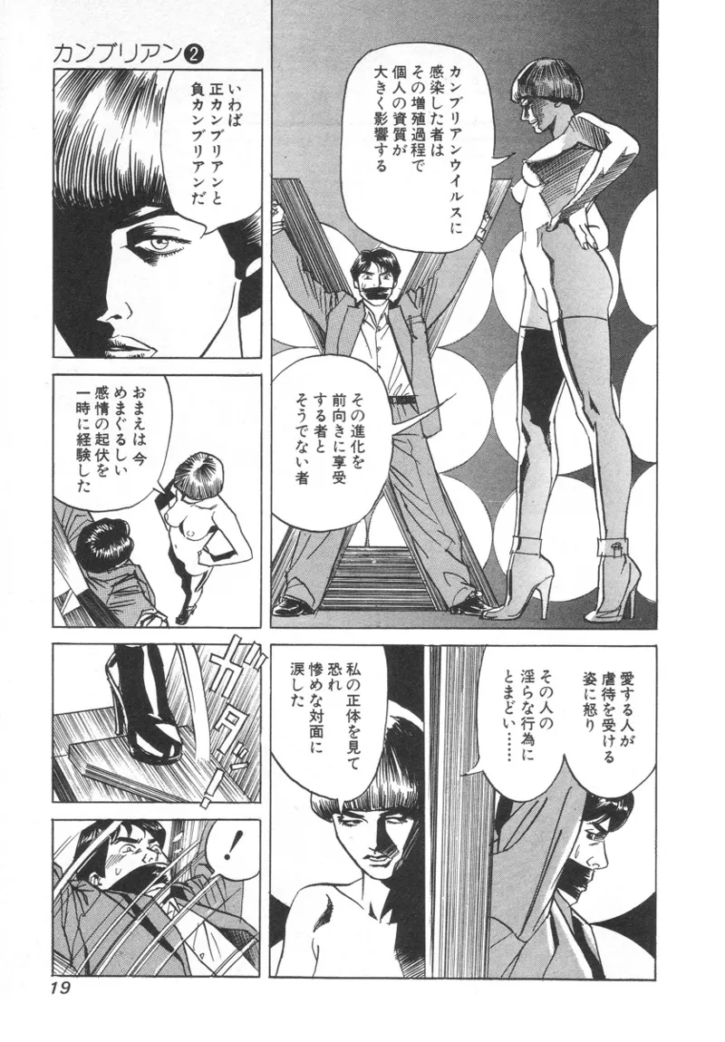 [Noboru Miyama]Kanburian Kanzenban Cambrian 02 Page 21