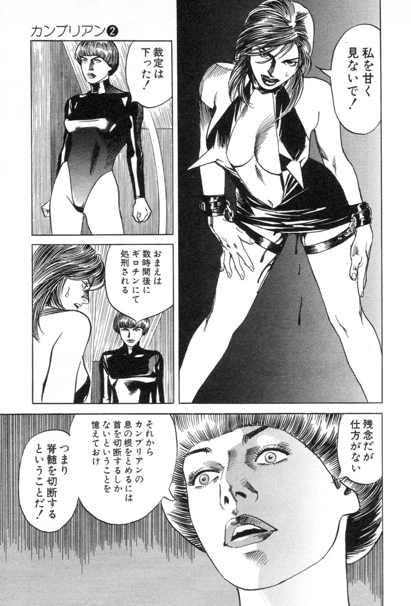 [Noboru Miyama]Kanburian Kanzenban Cambrian 02 Page 61