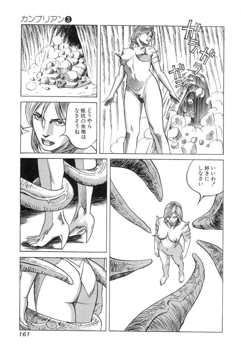 [Noboru Miyama]Kanburian Kanzenban Cambrian 03 Page 161