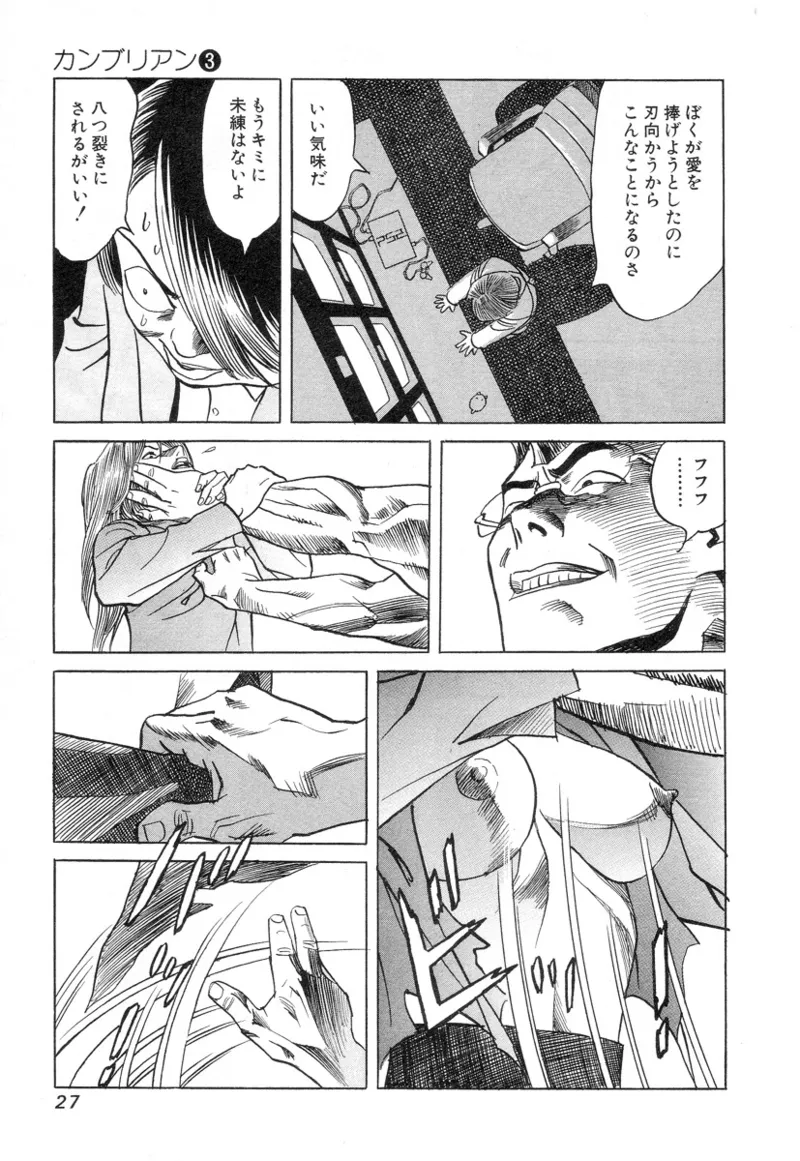 [Noboru Miyama]Kanburian Kanzenban Cambrian 03 Page 29